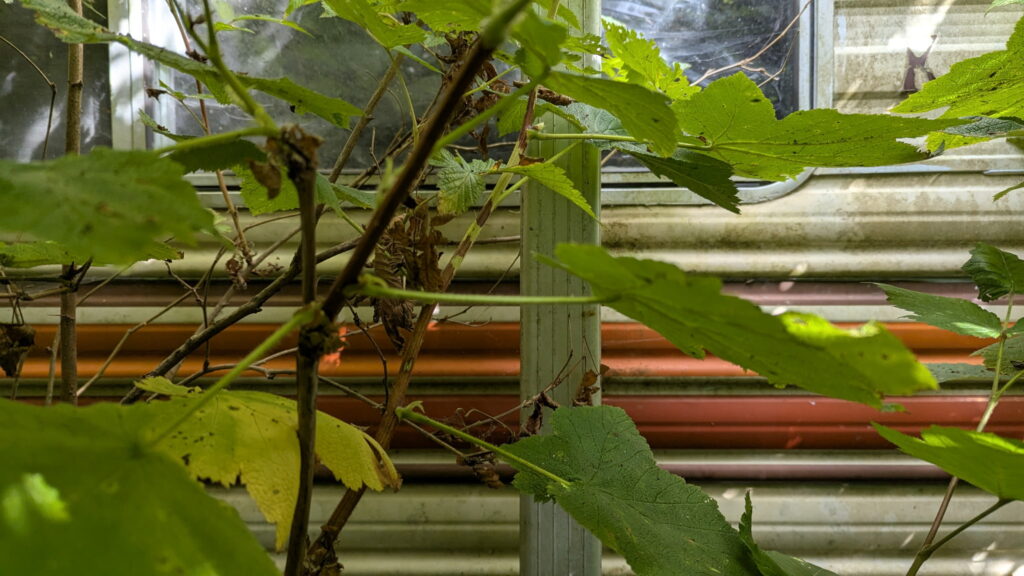 RV Removal in Waldport, Oregon